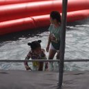 규범농장 이미지