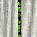 희망사진관 이미지