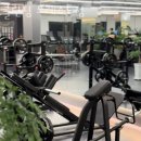 짐포레스트 이미지