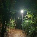 비타민나무의원 이미지