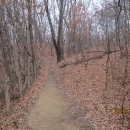 안동여자중학교 이미지