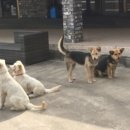 태광목장 이미지