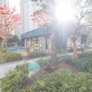 민락엘레트공인중개사사무소 이미지