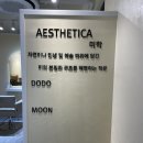 도도&문에스테티카