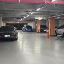 상습불법주차 차량 단속 요청건 이미지