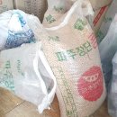 자운두부 이미지