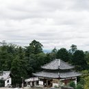아침마당세탁 이미지