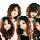 카라PC 이미지