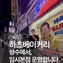 당케베이커리 | 하츠베이커리 임시 본점 성수점 샌드베이글 · 맘모스 · 쫀득빵 후기