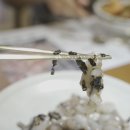 부산해물탕해물찜 이미지