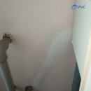 지비케어 이미지