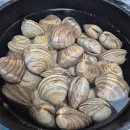 시장화장실(어물전) | 캠핑 364회, 강릉 연곡 솔향기 캠핑장(2025.06.21)