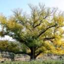 정의2리 이미지