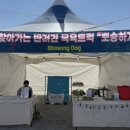 뽀송하개 이미지