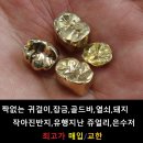 보성홀인원골프 이미지