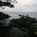 천년바위민박 이미지