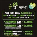 숲테라피 이미지