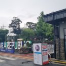 제주탐나라공화국 네이버블로그