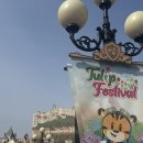 판다나라 | 에버랜드 튤립축제 꿀팁 &amp; 워킹사파리 후기 (주차꿀팁/튤립 개화/사파리/판다월드)