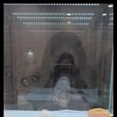 펫아미 강아지분양 고양이분양 동탄점 이미지