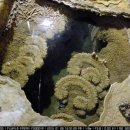 다누리펜션 이미지