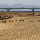 강서체육공원 이미지