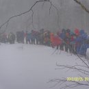 진고개목장 이미지