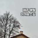소길동백
