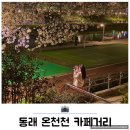 한빛행정사무소 | 동래 온천천 카페거리 벚꽃 명소 야경 후기 주차정보까지
