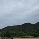 신경주대학교 승마장 이미지