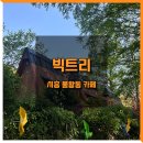 시흥 물왕동 나무숲 카페 빅트리 이용방법 가격 후기