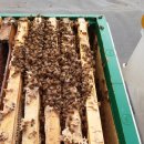 봉이농장 이미지