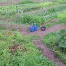 영찬농장 이미지