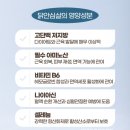 포리네 | 강아지건강간식 포리틀 동결건조간식 닭안심, 닭연골 급여후기