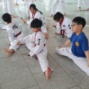 강림태권도장 이미지