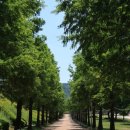 안성맞춤랜드19 이미지