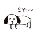 인투게코
