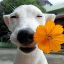 저기요