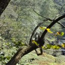 황룡산장 이미지