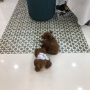 태자미용실