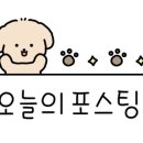 (주)에그필드 이미지