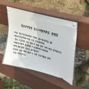남면사무소 | 서울 근교 캠핑장 양주 신암저수지 숲속야영장 사이트 시설 후기