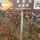 황림 묘 이미지