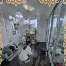 강아지천국 이미지