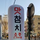 회는못참치