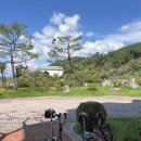 스테이인 호텔 봄 이미지