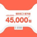 피크닉댕댕 네이버블로그