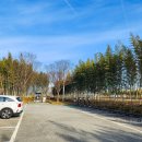 범암터마을노인회관 | 담양가볼만한곳 대나무의 모든것을 볼 수 있는 한국대나무박물관(3월)