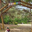 태학산자연휴양림 P2주차장 이미지