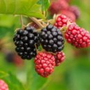 강서구 화곡6동주민센터 3층 다목적실 | 강서구 화곡6동 주민센터 운영시간 쓰레기배출일